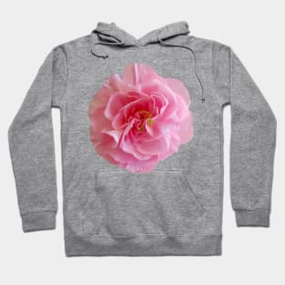 Pink Carnation Floral Photo Hoodie